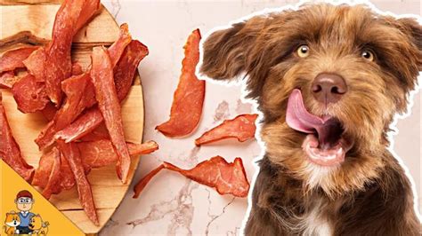 are chicken jerky treats from china killing dogs